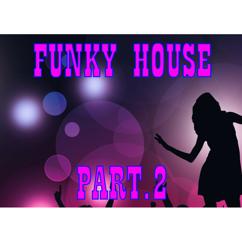 FUNKY HOUSE PART 2